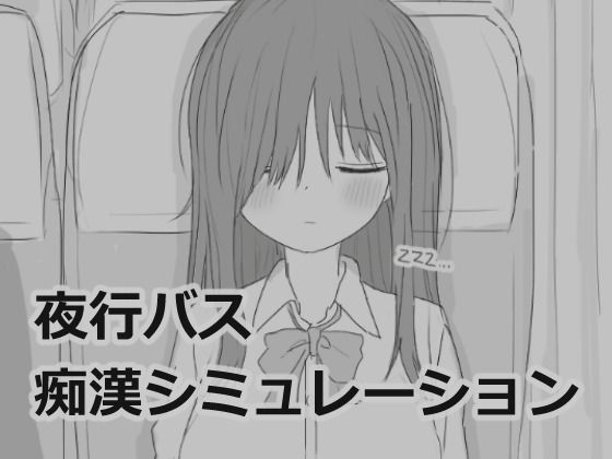 【2025年の話題作】夜行バス痴●シミュレーション｜エロフラ部｜d_532880