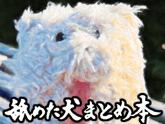【どちゃエロ】舐めた犬まとめ本｜d_617989
