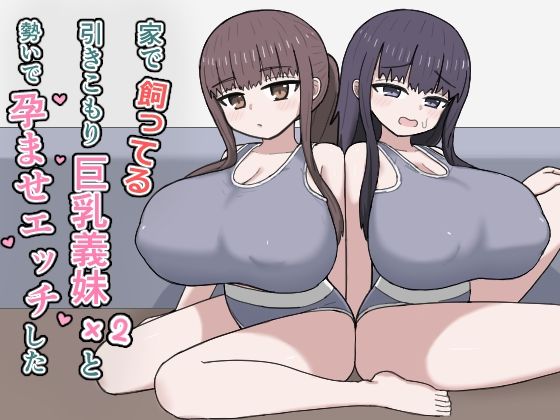 【どちゃエロ】家で飼ってる引きこもり巨乳義妹×2と勢いで孕ませエッチした｜d_764771