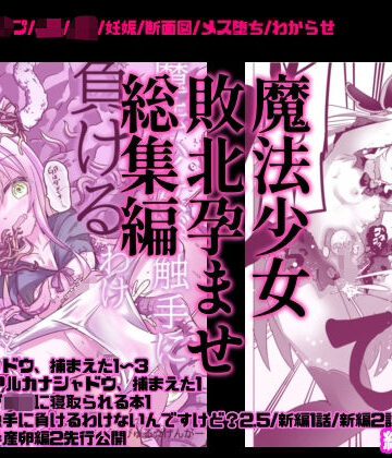 【どちゃエロ】魔法少女敗北妊娠レ●プ総集編｜d_817903